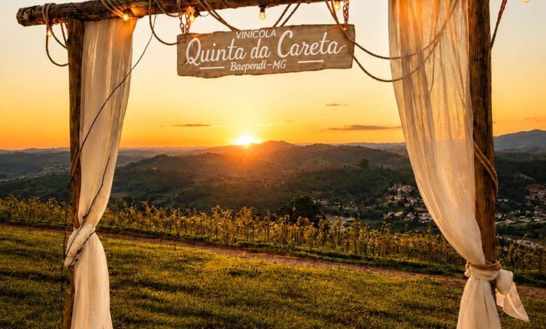Vinícola Quinta da Careta (Baependi/MG)
